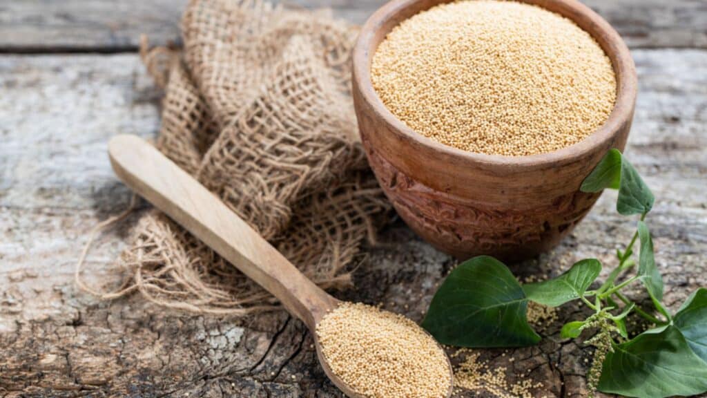 Raw Organic Amaranth Grain in a Bowl witn wooden spoon and Amaranth plant on Rustic wooden background. Healthy colorful gluten free food concept